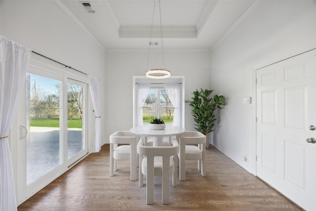 unfurnished dining area featuring dark hardwood / wood-style flooring, a raised ceiling, and a wealth of natural light