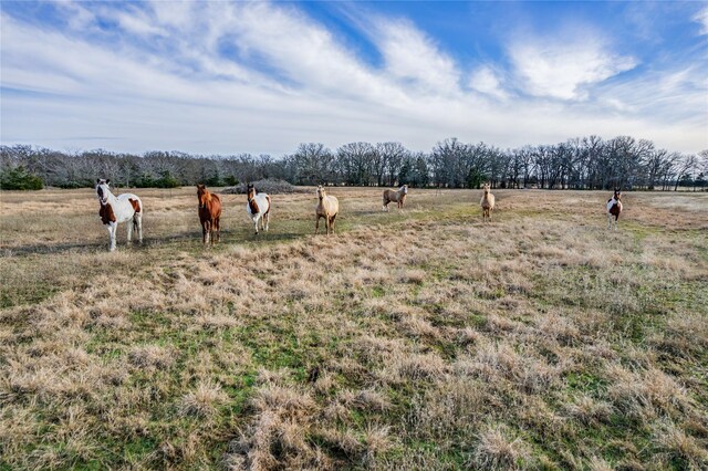 Listing photo 3 for TBD County Road 3562, Dike TX 75437