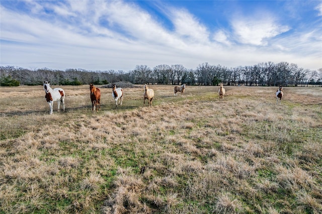 Listing photo 3 for TBD County Road 3562, Dike TX 75437