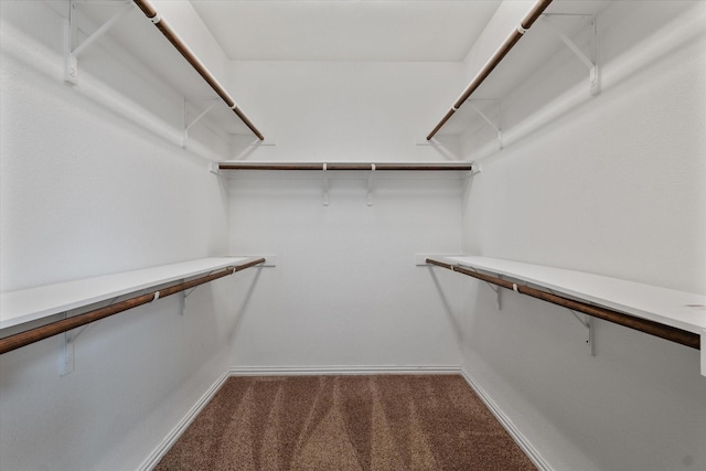 walk in closet with carpet