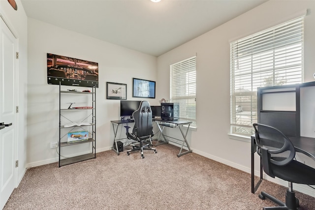 home office with carpet floors