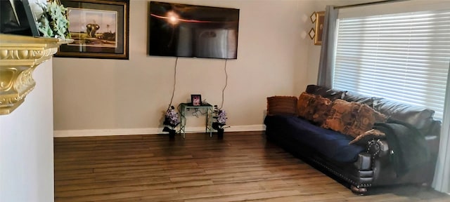 living room with hardwood / wood-style flooring