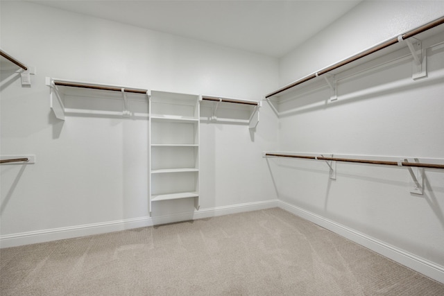 spacious closet featuring light colored carpet