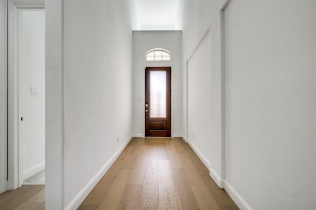 doorway featuring light hardwood / wood-style flooring and a high ceiling