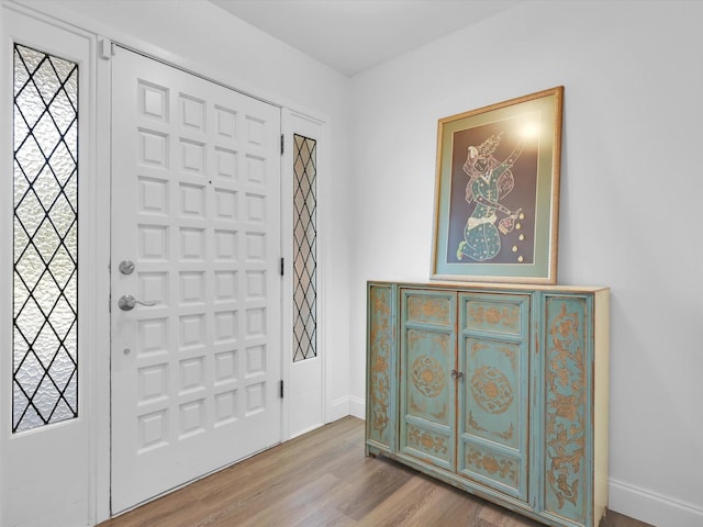 foyer entrance with hardwood / wood-style flooring