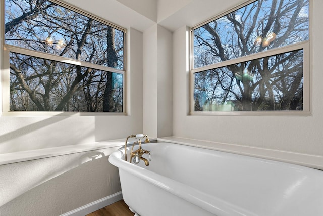 bathroom with plenty of natural light and a bathtub