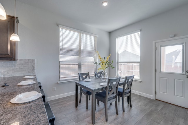 dining space with light hardwood / wood-style flooring and a healthy amount of sunlight