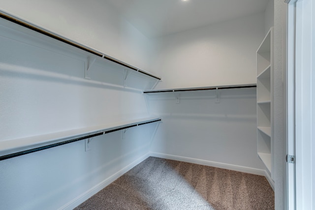 walk in closet with carpet floors