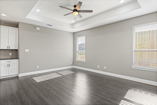 interior space with dark hardwood / wood-style floors, a raised ceiling, and a wealth of natural light