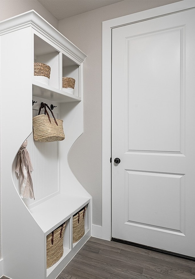 mudroom featuring dark wood finished floors