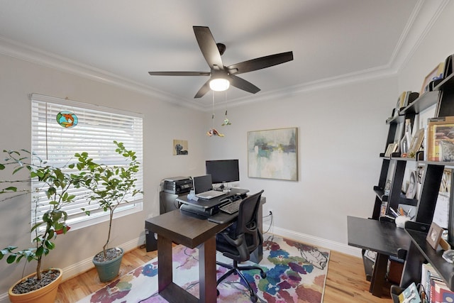 office space featuring crown molding, plenty of natural light, and light wood-type flooring