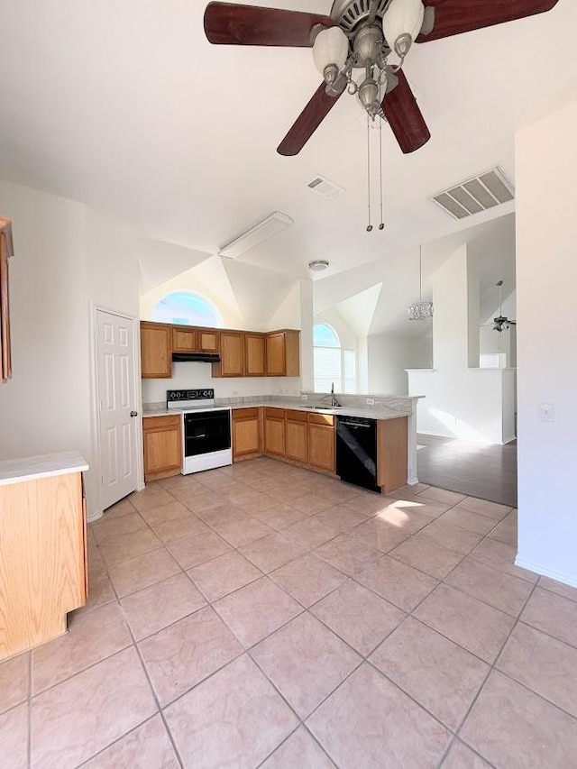 kitchen featuring vaulted ceiling, dishwasher, sink, kitchen peninsula, and electric stove