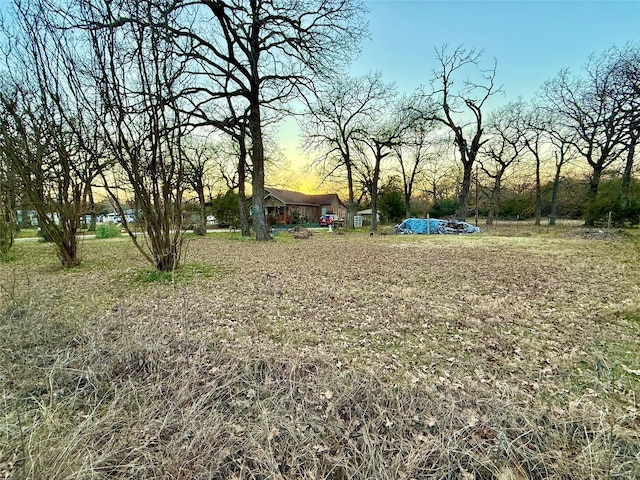 view of yard at dusk