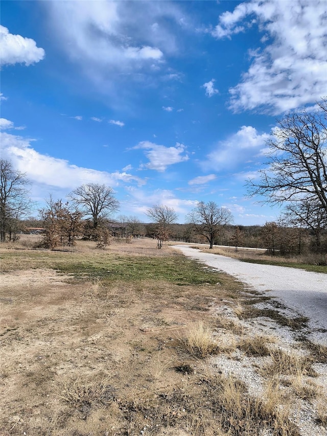 view of yard with a rural view