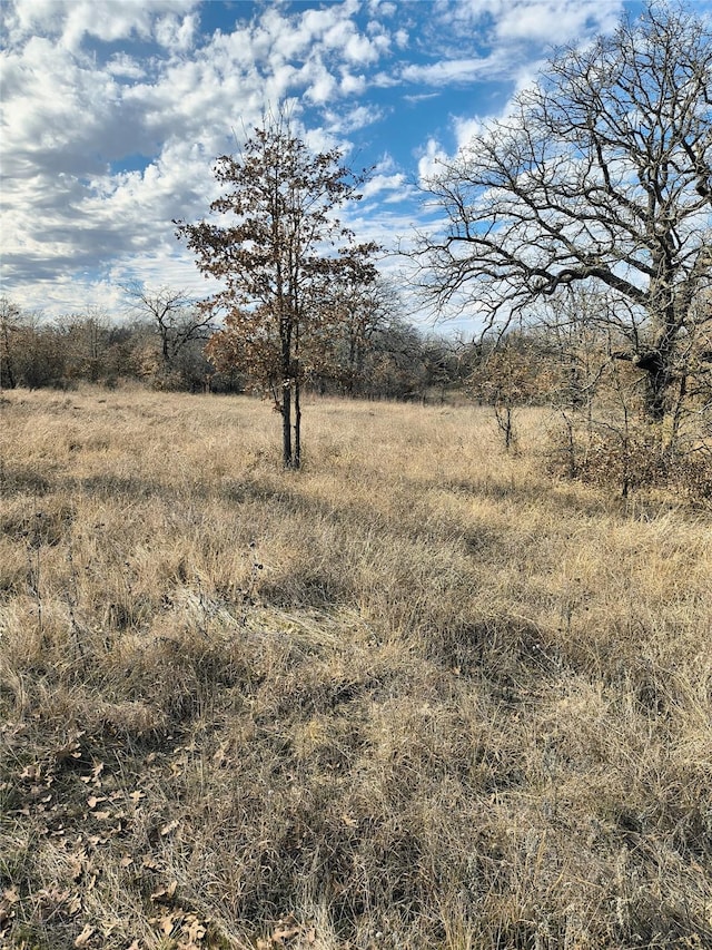 view of local wilderness with a rural view