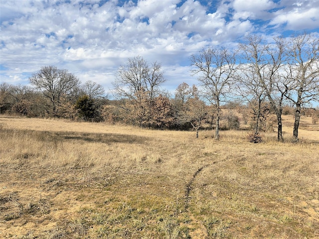 view of landscape featuring a rural view