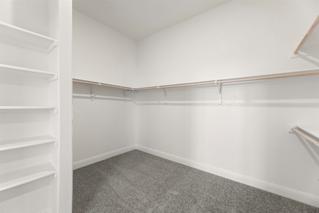 walk in closet with carpet flooring