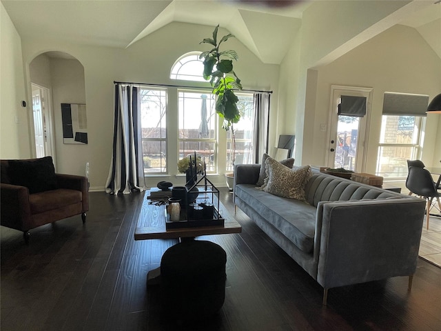 living room with lofted ceiling and dark wood-type flooring