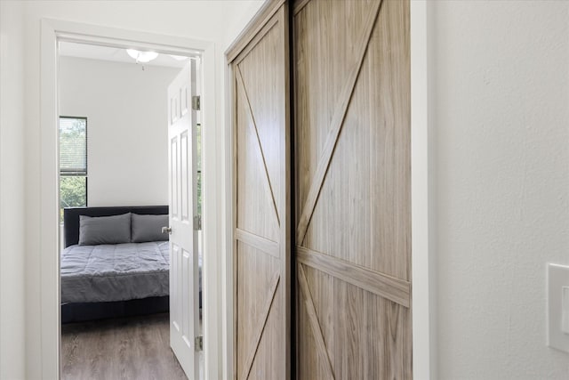 hall with a barn door and light hardwood / wood-style flooring