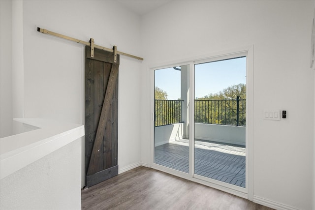 doorway featuring hardwood / wood-style floors and a barn door