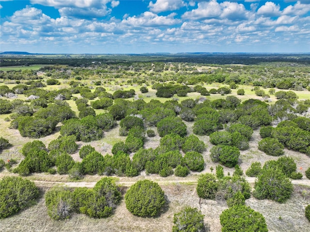 Listing photo 3 for LOT25 Arrow Dr, Copperas Cove TX 76522