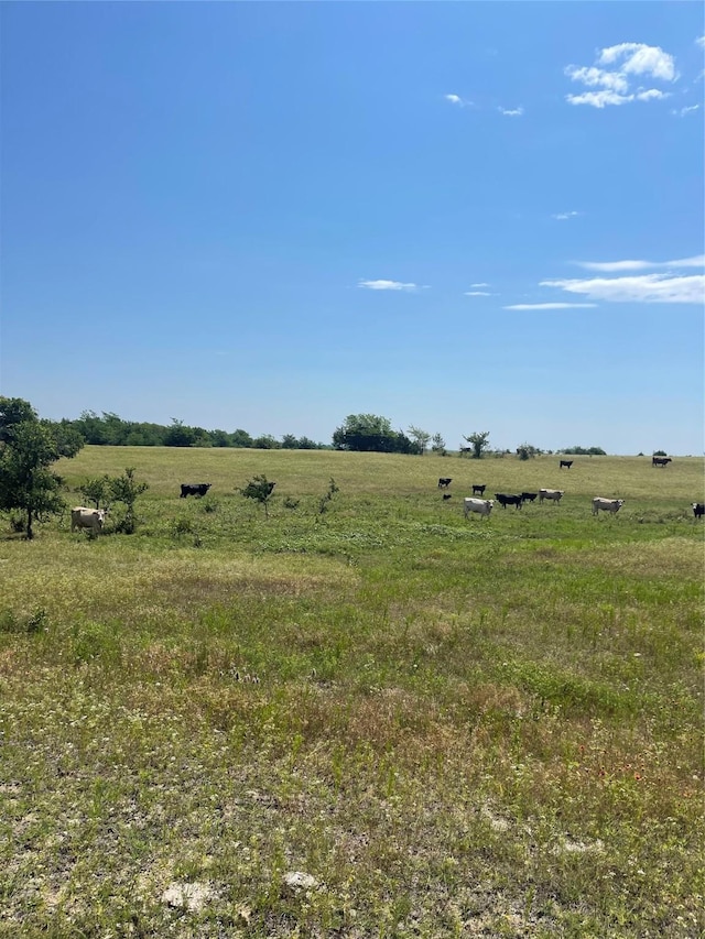 Listing photo 3 for LOT1 Elm Grove Rd, Valley View TX 76272