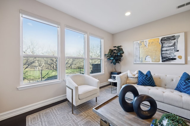 living room with hardwood / wood-style flooring and a healthy amount of sunlight