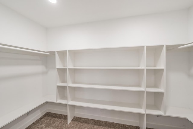 walk in closet featuring carpet flooring