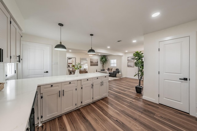 kitchen with dark hardwood / wood-style flooring and hanging light fixtures