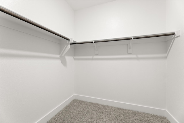 walk in closet featuring carpet