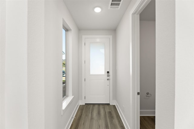 doorway featuring plenty of natural light and dark hardwood / wood-style flooring