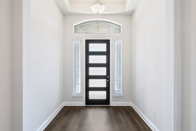 foyer featuring plenty of natural light, dark hardwood / wood-style flooring, and a tray ceiling