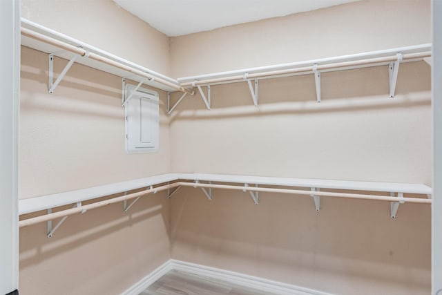 walk in closet with wood-type flooring and electric panel