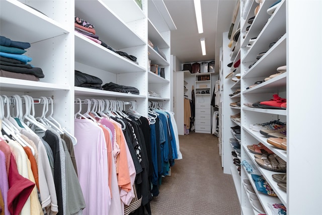 walk in closet featuring carpet