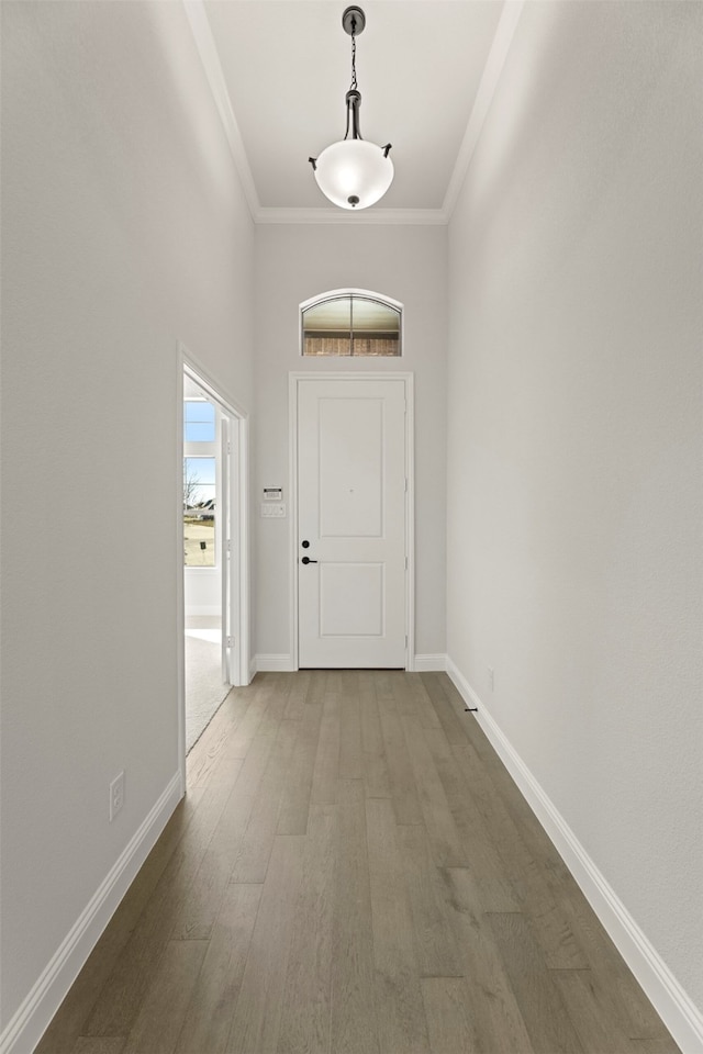 corridor with crown molding and wood-type flooring