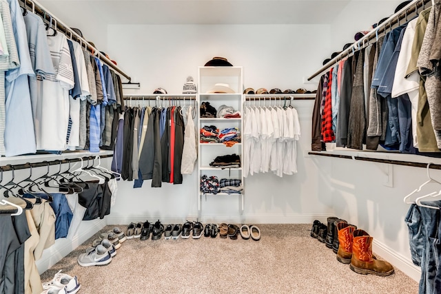 spacious closet featuring carpet floors