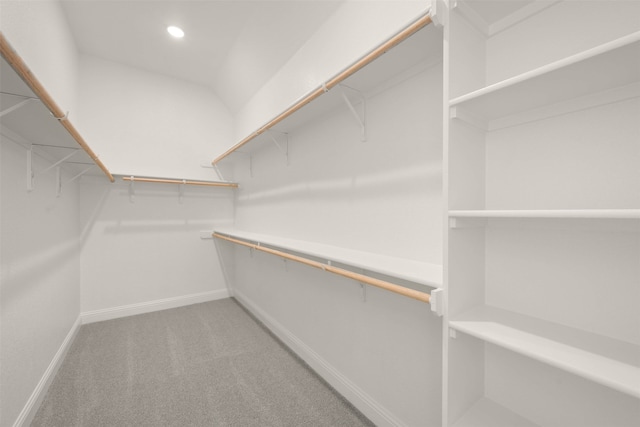 spacious closet with light carpet