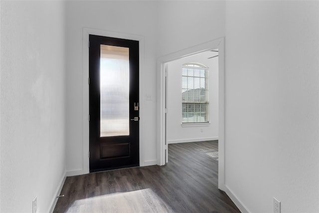 entryway with dark hardwood / wood-style flooring