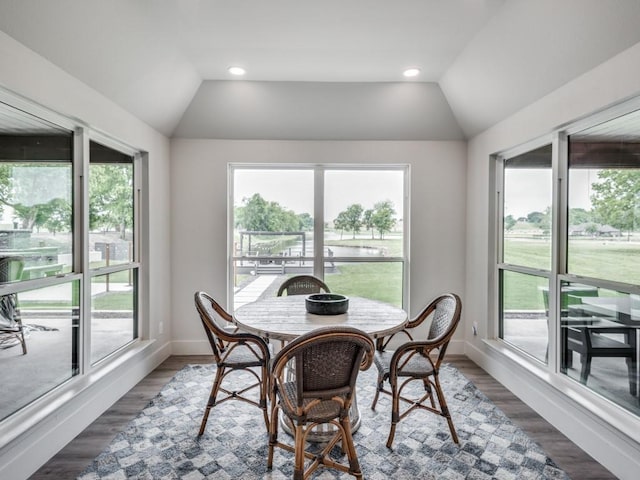 dining room with lofted ceiling, a wealth of natural light, and dark hardwood / wood-style floors