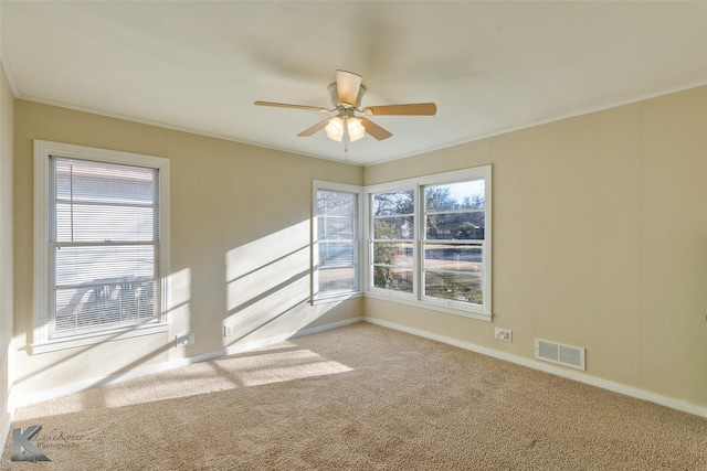 unfurnished room featuring crown molding, carpet floors, and ceiling fan