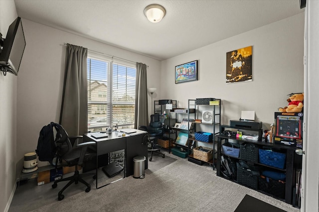office featuring carpet flooring