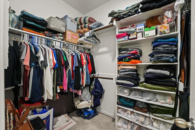 walk in closet featuring carpet flooring