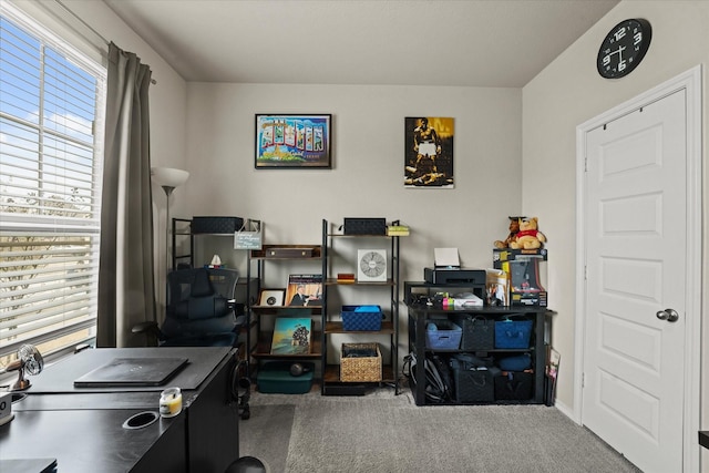 home office featuring carpet and baseboards