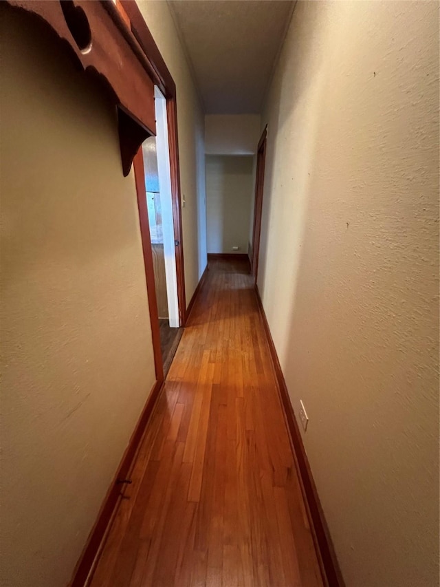 hall featuring wood-type flooring