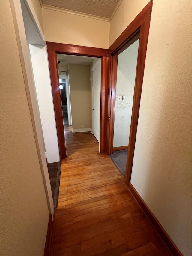 corridor with crown molding, a textured ceiling, and light hardwood / wood-style floors