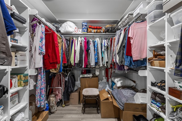 spacious closet featuring light hardwood / wood-style flooring