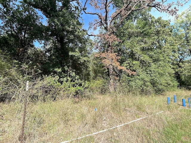 Listing photo 3 for LOT166 Stonewall Dr, Streetman TX 75859