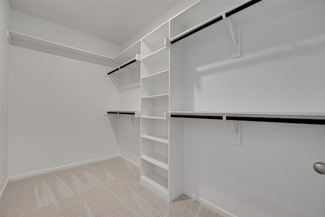 walk in closet with light colored carpet