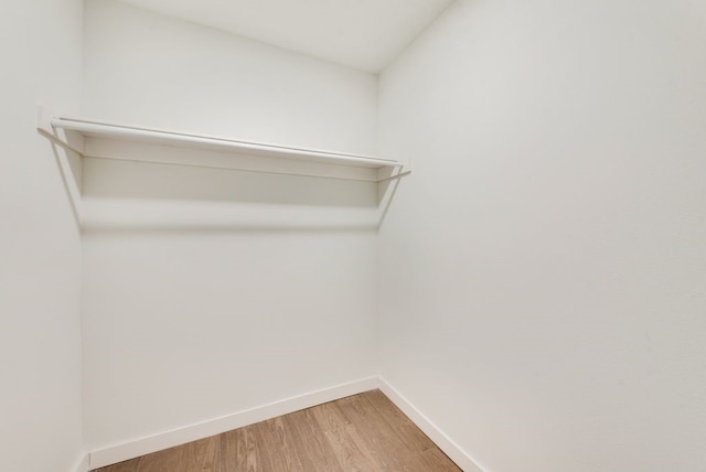 walk in closet featuring wood-type flooring