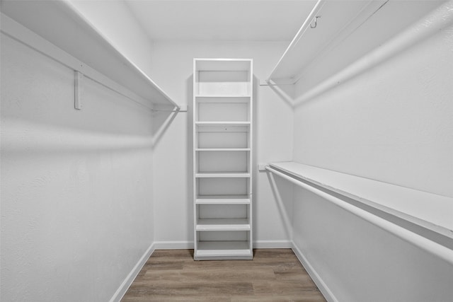 walk in closet with hardwood / wood-style flooring